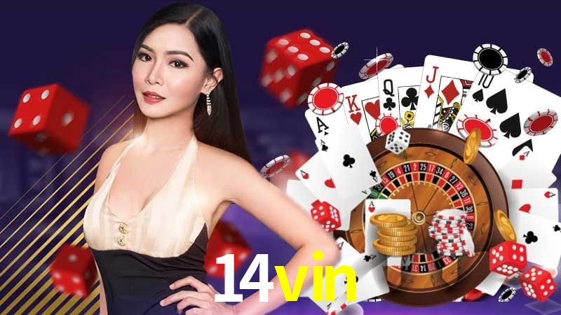 Programa VIP 14vin