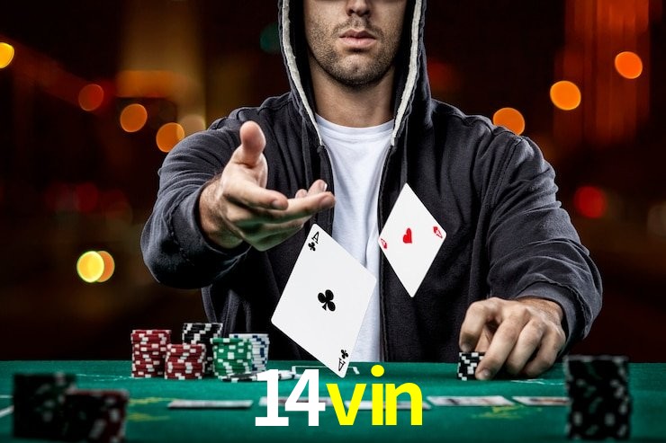 14vin,14vin bet app